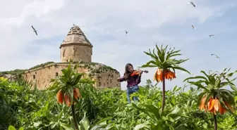 Van Gölü'ndeki Çarpanak Adası Fotoğrafçılık Kursu Öğrencileri Tarafından Görüntülendi