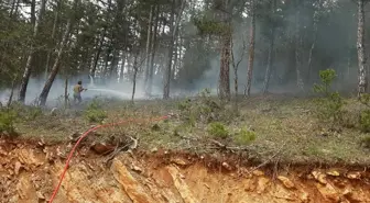 Karabük'ün Eflani ilçesinde çıkan örtü yangını söndürüldü