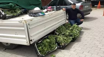 Hisarcık'ta Yılın İlk Asma Yaprağı Yoğun İlgi Görüyor