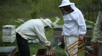 Ordu'da Gezgin Arıcılar Göç Hazırlıklarına Devam Ediyor