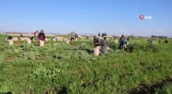 Açık alanda çalışan işçilere sıcak hava uyarısı