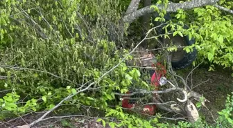 Tokat'ın Erbaa ilçesinde traktör devrildi, sürücü hayatını kaybetti