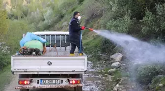 Bitlis Belediyesi Sinekle Mücadele Çalışmalarına Devam Ediyor