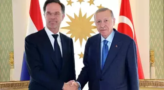 Cumhurbaşkanı Erdoğan, Hollanda Başbakanı Rutte'yi kabul etti