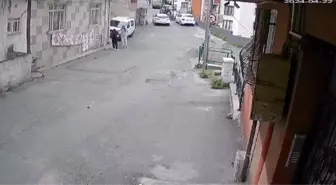 Eyüpsultan'da Yavru Kedi Ezildi, Sürücü Hakkında Suç Duyurusu Yapılacak