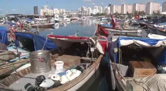 Teknelerle tutulan balıklar mezatlarda alıcıyla buluşuyor