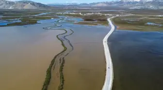 Van'da kar erimesi ve yağışlar sonucu Çaldıran Ovası'nda su baskınları