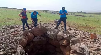 Diyarbakır'da kayıp çoban arama çalışmaları devam ediyor