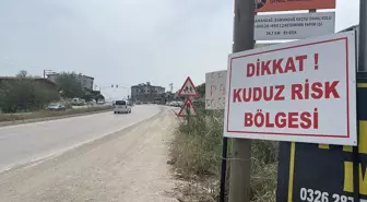 Hatay'da Kuduz Aşısı Yapılan Mahallelerde Çalışmalar Devam Ediyor