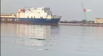 Köpek balığını görüntüleyen amatör balıkçının yaşadığı heyecan kamerada