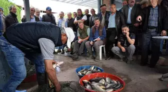 Nilüfer Gölyazı Köyü'nde 100 Yıldır Devam Eden Balık Mezadı