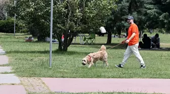 Samsun'da Güneşli Havayı Değerlendiren Vatandaşlar Sahil ve Piknik Alanlarını Doldurdu