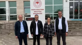 Tarım ve Orman Bakanlığı Gıda ve Kontrol Genel Müdürü Giresun'da Kahverengi Kokarca Mücadelesini İnceledi