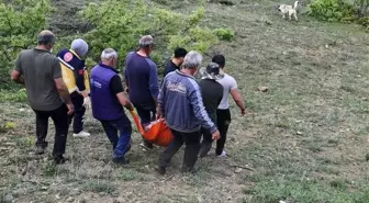 Tunceli'de Ayı Saldırısı: Bir Kişi Yaralandı