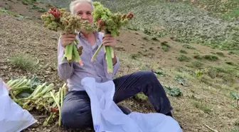 Adıyaman'da ışkın toplamak için Türk Dağına tırmandılar