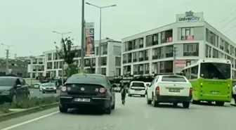 Düzce'de başıboş tay trafiği tehlikeye düşürdü