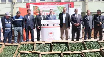 Bayburt'ta çiftçilere 175 bin domates, salata ve biber fidesi dağıtıldı