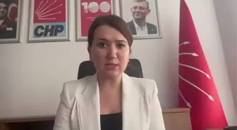 CHP Genel Başkan Yardımcısı Gökçe Gökçen, Tahir Elçi Davası'nda beraat istenmesine tepki gösterdi