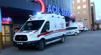 Erzincan'ın Tercan ilçesinde ayı saldırısı: 1 kişi yaralandı