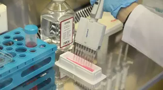 BTÜ Öğrencisinin Biyoteknoloji Projesi TÜBİTAK Tarafından Destekleniyor