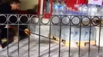 Artvin'de İtfaiye Ekipleri Yılanı Yakaladı