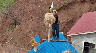 Terörden kaçan köye leylekler geri dönüyor