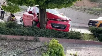 Elazığ'da Kontrolden Çıkan Otomobilin Ağaca Çarpması Sonucu 3 Kişi Yaralandı