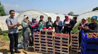 Aydın'da Tarım İşçileri 1 Mayıs'ı Çilek Tarlasında Pasta Keserek Kutladı