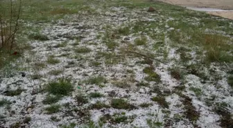 Tokat'ın Başçiftlik ilçesinde dolu yağışı etkili oldu