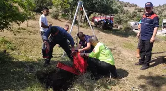 Manisa'da su kuyusuna düşen köpek kurtarıldı