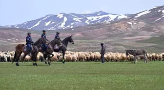 Van'da Atlı Jandarma Timi İran Sınırında Görev Yapıyor