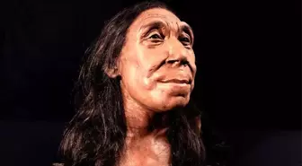 Neandertal Kadınının Yüzü Canlandırıldı