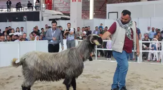 Burdur'da Teke Yöresi 9. Tarım, Hayvancılık, Tarım Teknolojileri Fuarı'nda Güzellik Yarışması Düzenlendi