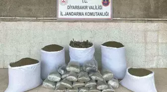 Diyarbakır'da 173 Kilogram Esrar Ele Geçirildi