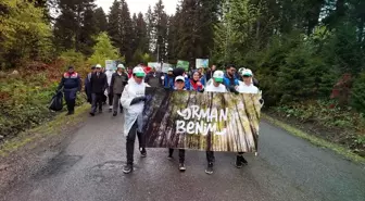 Giresun'da Orman Yangınlarını Önlemek İçin Kampanya Başlatıldı