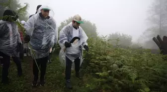 Rize'de Orman Yangınlarını Önlemek İçin Kampanya Başlatıldı