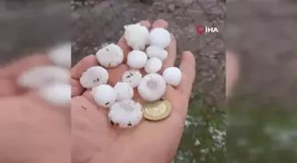 Diyarbakır'da dolu yağışı ekili arazileri vurdu