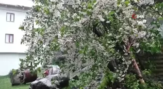 Erzurum'da Mayıs'ta kar sürprizi