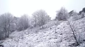 Tokat'ın Reşadiye ve Başçiftlik ilçelerinde kar yağışı etkili oldu