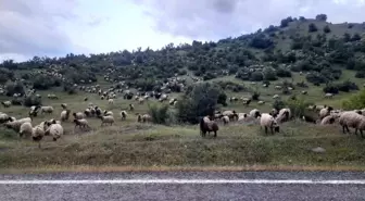 Besiciler Muş'un Şenyayla bölgesine gitmek için yola çıktı