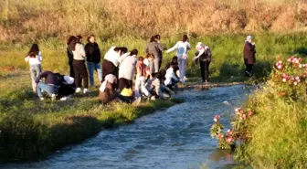 Burhaniye'de Hıdırellez Kutlamaları Devam Ediyor