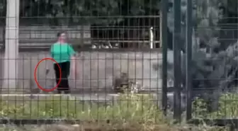 Okuldan atılan kız öğrenci silahla kapıya dayandı