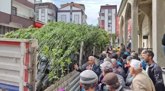 Çaykara'da Vatandaşlara Meyve Fidanı Dağıtıldı