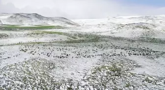 Göçerler, kar yağışına yakalandı