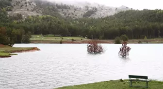 Giresun Şebinkarahisar'daki Dikmetaş Yaylası'nda İlkbahar Canlandı