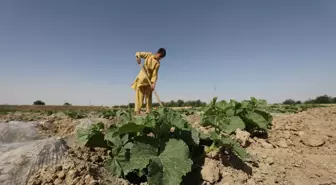 Afganistan'da Kuraklıkla Mücadele İçin Kuştepe Kanalı Projesi