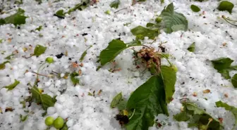 Kütahya'nın Domaniç ilçesinde dolu yağışı