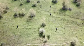 Eskişehir'de Alzheimer hastası kadın kayboldu