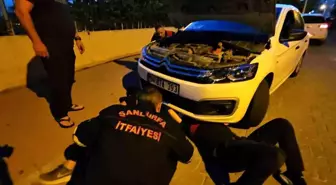 Şanlıurfa'da Otomobilin Motor Bölümüne Sıkışan Kedi İtfaiye Tarafından Kurtarıldı