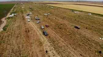 Hatay'da Bedava Dağıtılan Soğanlar Vatandaşları Tarlaya Akın Ettirdi